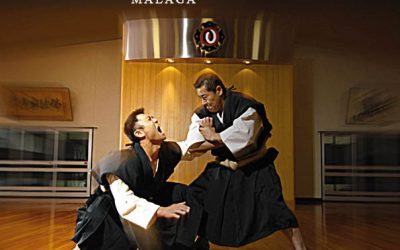 Final del Campeonato Nacional de embus de Shorinji Kempo