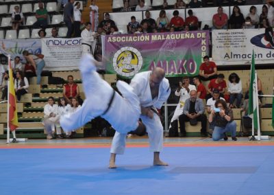 Gala benéfica de artes marciales de Málaga 2019 - Shorinji Kempo