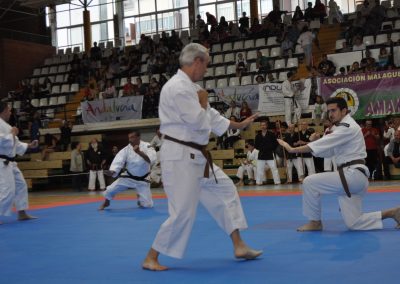 Gala benéfica de artes marciales de Málaga 2019 - Shorinji Kempo