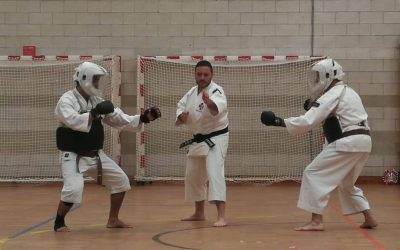 FESK en una demostración en Asturias