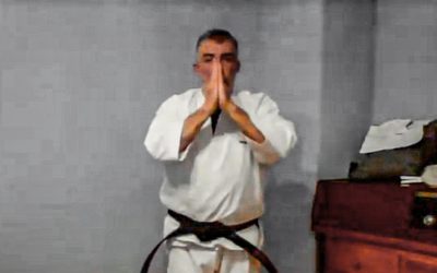 Clases online para sus kenshis más pequeños