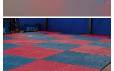 La sección Costa del Sol, sección oficial de FESK reanuda sus clases presenciales.