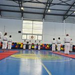 Sakura renshu y demo Shorinji Kempo