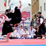 Sakura renshu y demo Shorinji Kempo