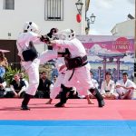 Sakura renshu y demo Shorinji Kempo