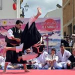 Sakura renshu y demo Shorinji Kempo