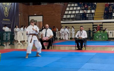 Clasificación Copa Estilos Shorinji Kempo 2025
