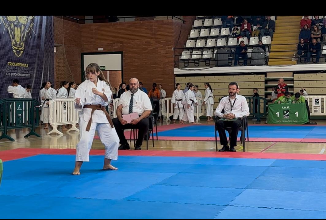 Clasificación Copa Estilos Shorinji Kempo 2025 - Federación Española de ...