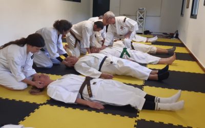 Se celebró el curso de Seiho y Chinkon del FESK